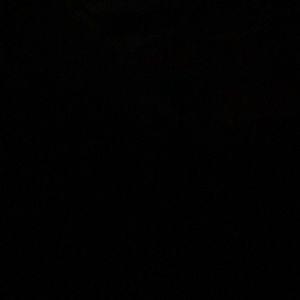 Meet your Posher, Selda